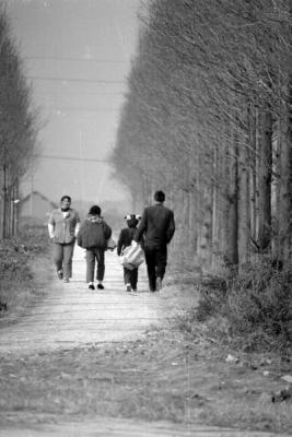 unsorted-0033