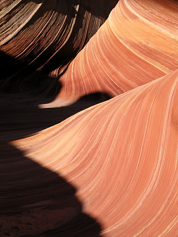 Wave2_3274.jpg