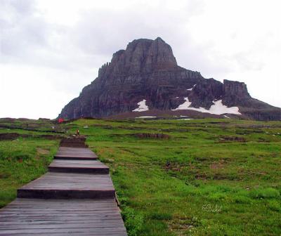 Hidden Lake Trail