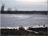 Cloudy Late Afternoon Marsh