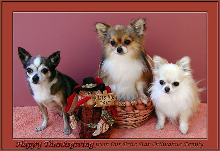 Thanksgiving Family 2003