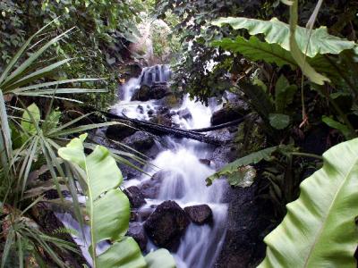 Eden Project - stream