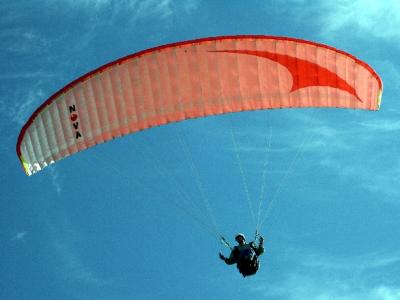 paraglider