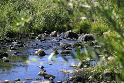 u36/brode2/medium/32297748.KernRiver.jpg