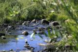 South Fork - Kern River - Kennedy Meadows