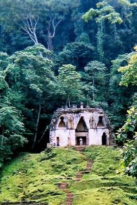 Gallery - Palenque