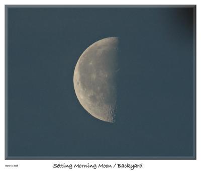 Setting Morning Moon