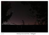 Very early morning shot of Venus and Orion Rising