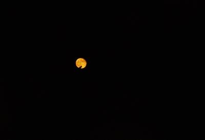 u36/bsanden/medium/23635789.062moonrisesilouette.jpg