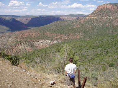 Start of Fossil Springs hike