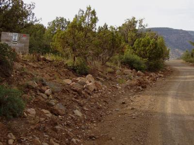 Dead Man's Curve