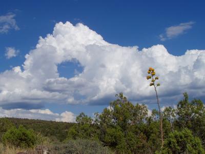 Meanwhile at the top of the trail, clouds are developing holes thru them
