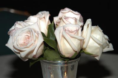 DSC_0106.jpg