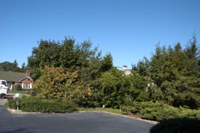 DSC_0251.jpg