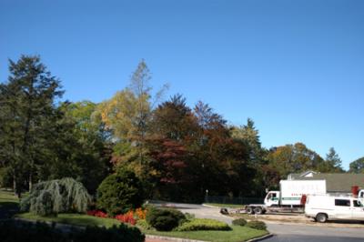 DSC_0252.jpg