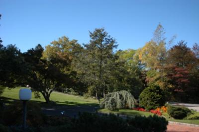 DSC_0253.jpg