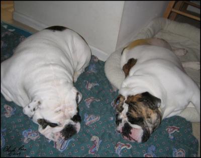 6. Z&Z Post-Op