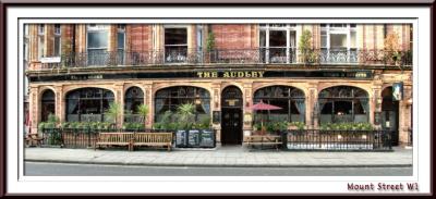 The Audley