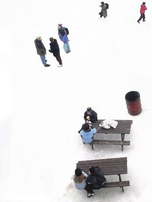 Skaters on Rideau Canal - Ottawa