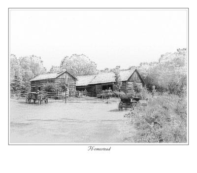 Homestead