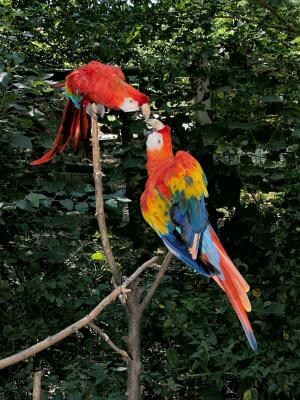 u36/canon_300d/medium/32299822.IMG_6720_psp_600.jpg
