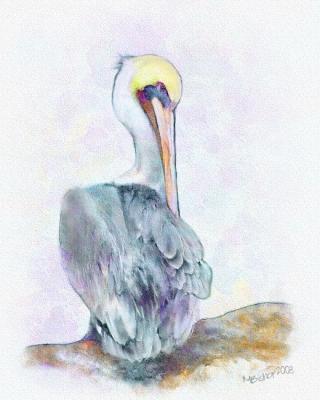 Pelican watercolor.jpg