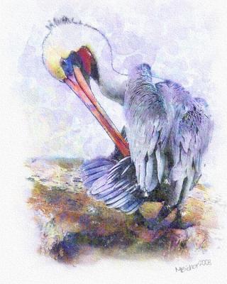 Pelican watercolor 2.jpg