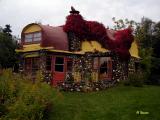 Colourful Concrete Cottage