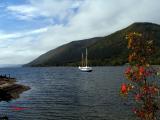 Island Beauty - Near Jersey Cove