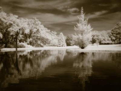 Sepia Dreams 6