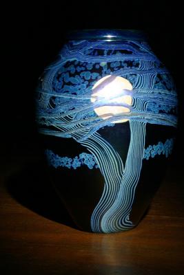 u36/chawkins/medium/32302679.IMG_1656.jpg