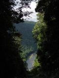 Crawfords Lookout