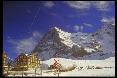 IMG0099.jpg