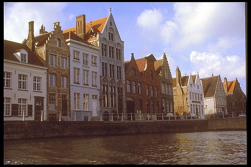 IMG0019.jpg