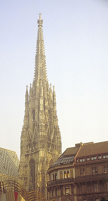 IMG0065.jpg