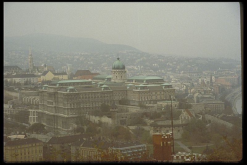 IMG0076.jpg
