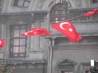 Turkish Flag.JPG