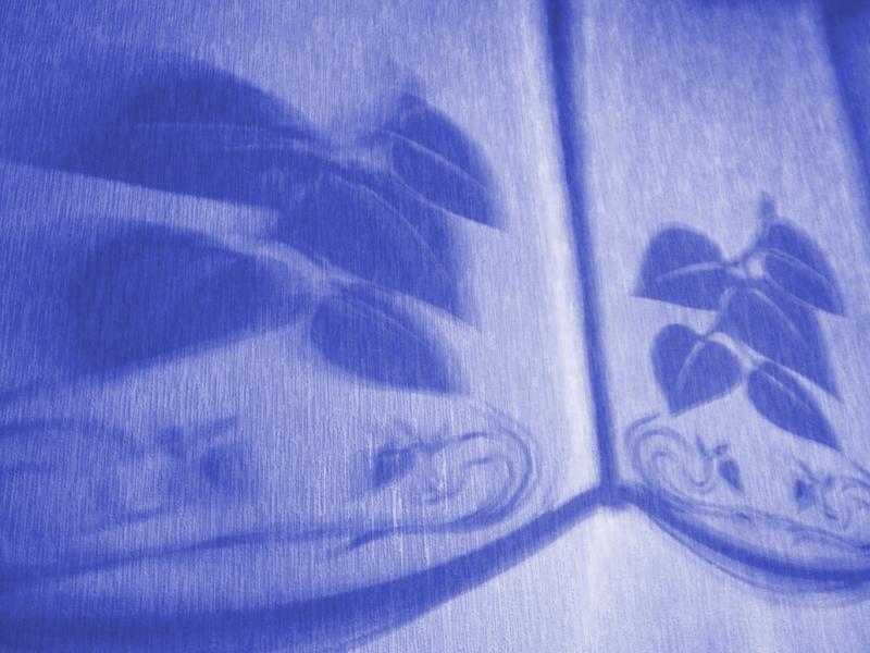 December 27 2003: <br> The Blue Lamp