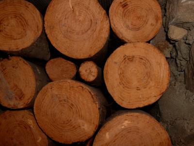 December 26 2003: Logs