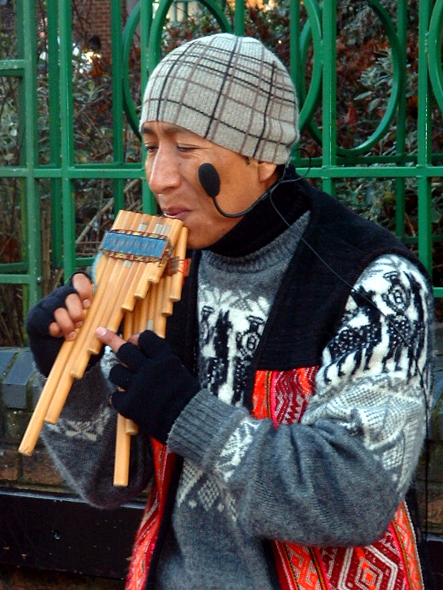 November 28 2003:<BR> Andean Piper