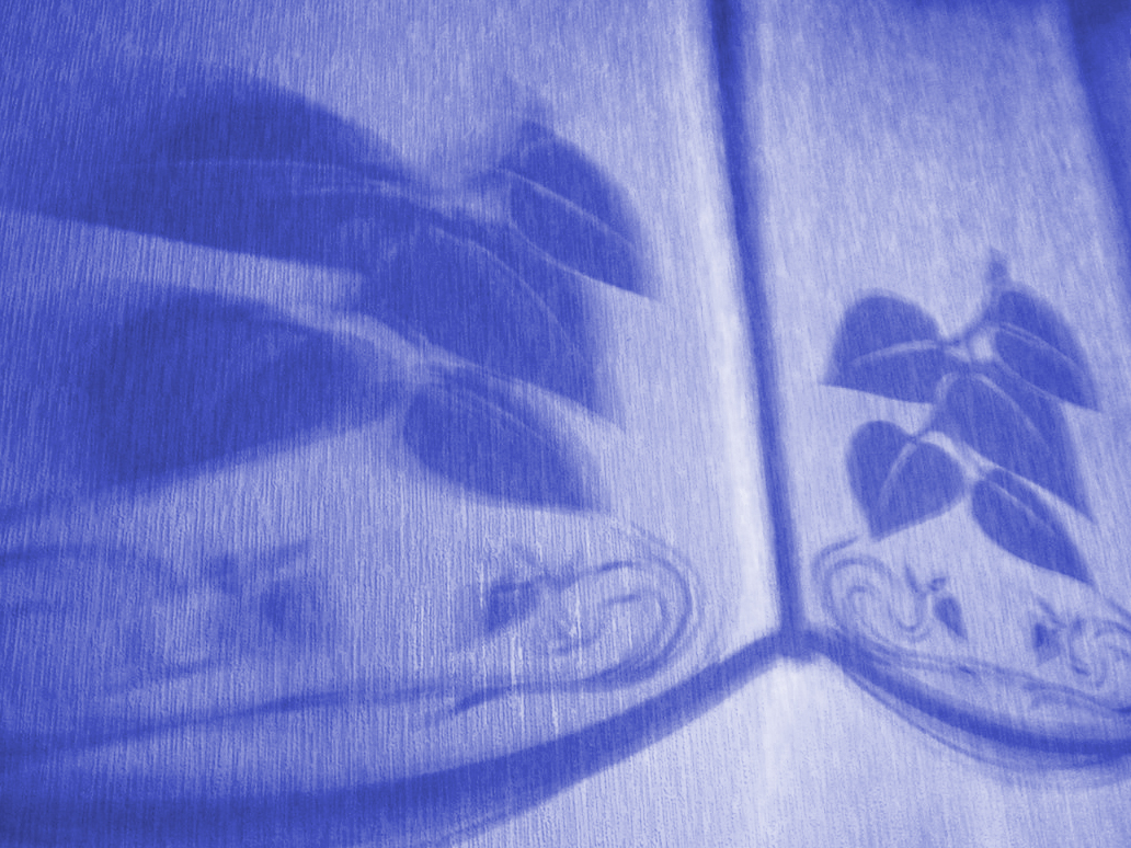 December 27 2003: <br> The Blue Lamp