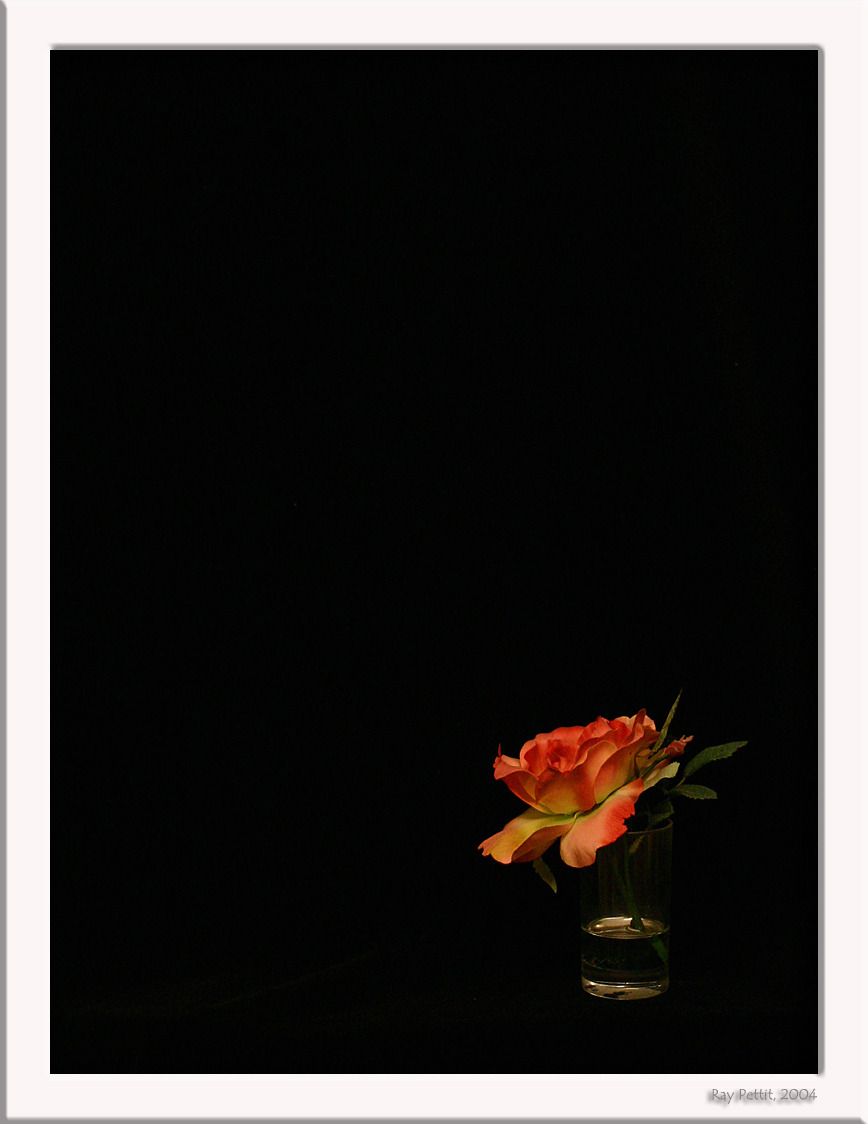 September 30 2004: <br> Lonesome Rose