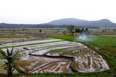 Rural Philippines