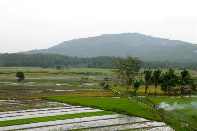 A typical rural landscape, Philippines