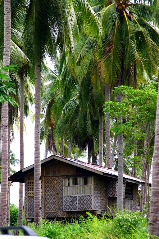 Humble Filipino provincial home. No power, no water, just plenty of fresh air