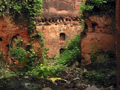 ruined garden