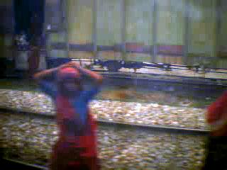 26.tif
