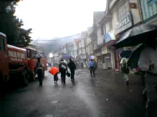 7a.tif