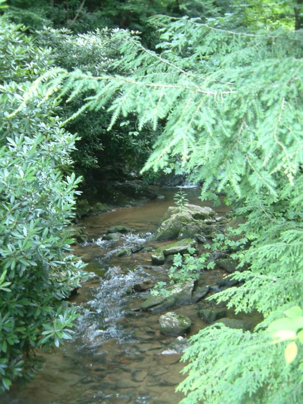DSCF0153.JPG