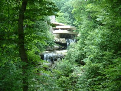 Falling Water - another view